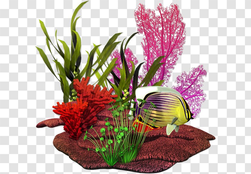 Fish Red Sea Clip Art - Flower Arranging Transparent PNG