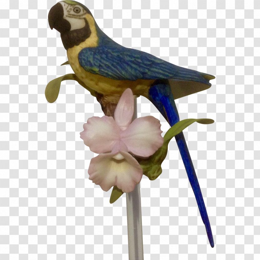 Bird Hyacinth Macaw Parrot The Franklin Mint Transparent PNG