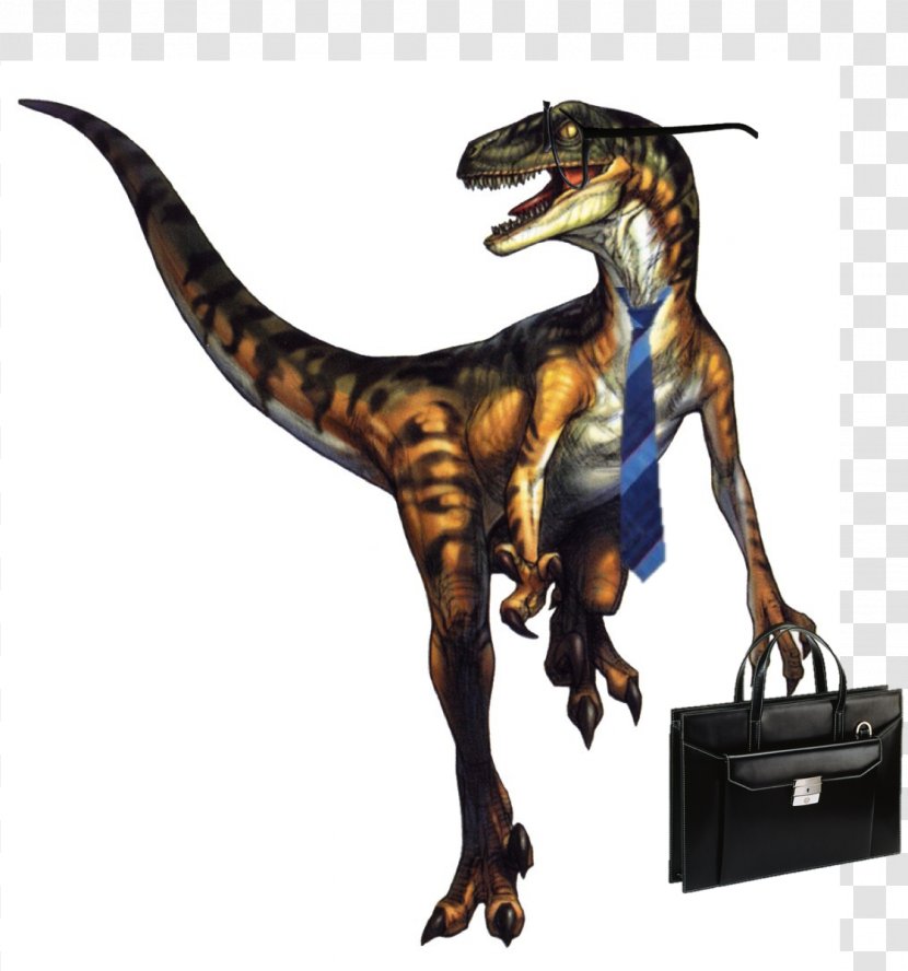 Velociraptor Physics Science Mathematics Dinosaur - Frame Transparent PNG