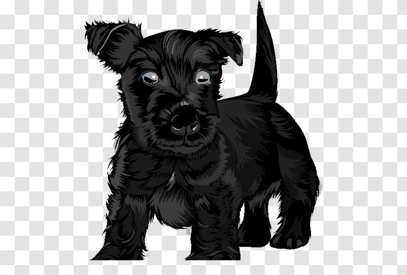 Scottish Terrier Black Russian Puppy Clip Art - Dog Crossbreeds - Textured Transparent PNG