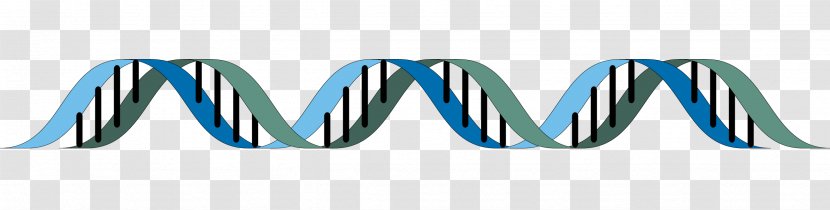 The Double Helix: A Personal Account Of Discovery Structure DNA Epigenetics Biology - Blue - Dna Strand Transparent PNG