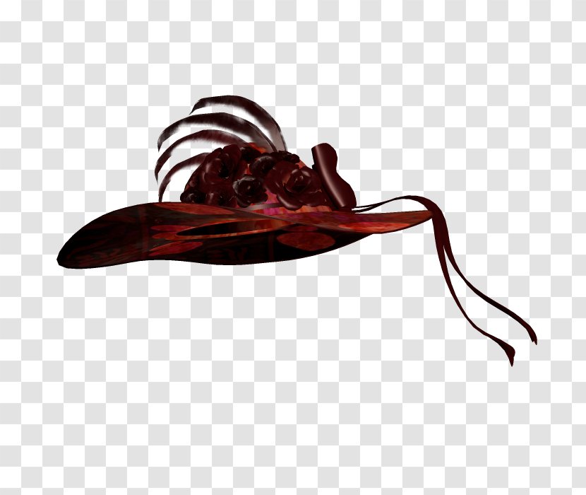 Hat - Headgear - Gorro Transparent PNG