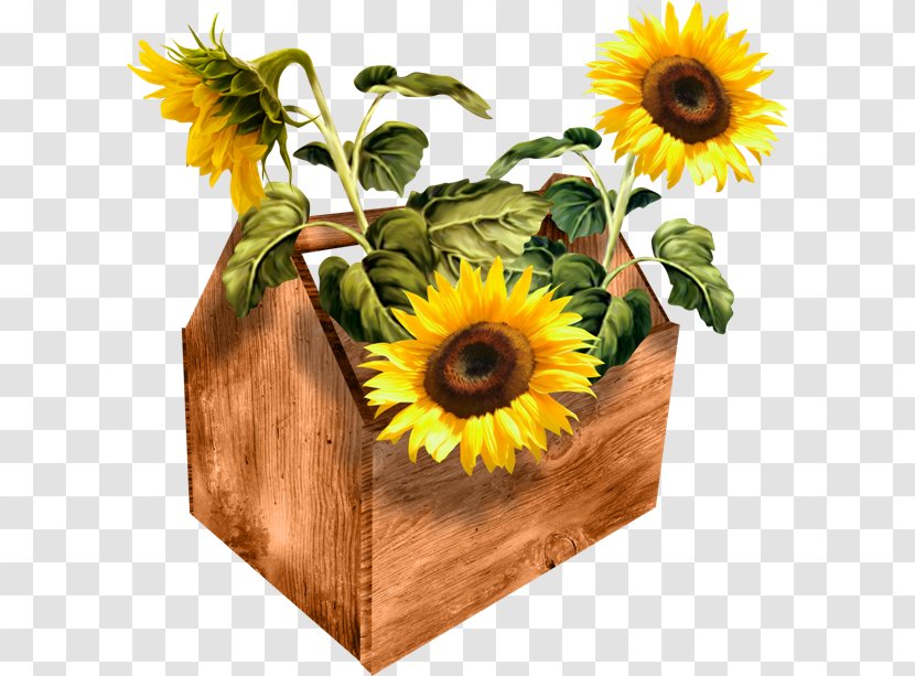 Common Sunflower PhotoScape - Flower Bouquet - Sfi Transparent PNG