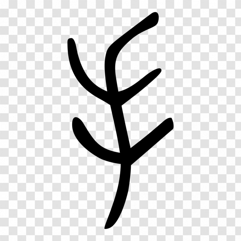 Shuowen Jiezi Kangxi Dictionary Simplified Chinese Characters Radical - Mandarin Transparent PNG