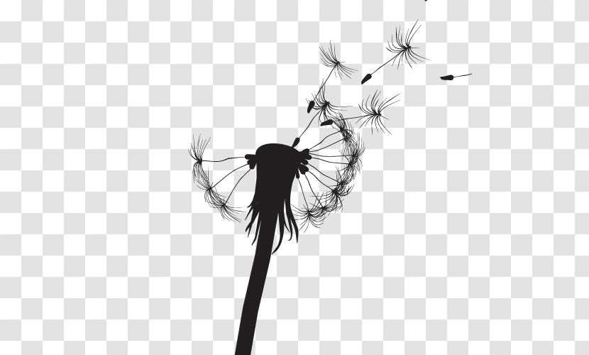 Common Dandelion Silhouette Light Drawing - Photography - Vector Transparent PNG