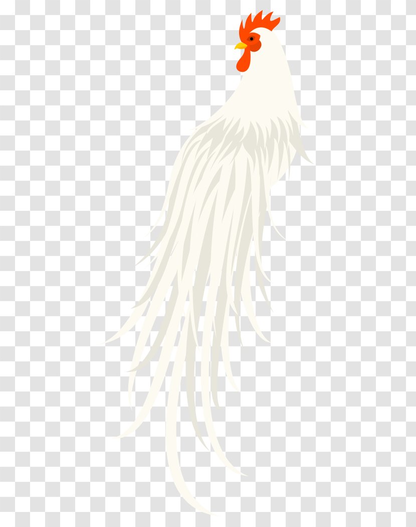 Rooster Chicken Bird Of Prey Beak - Carnivoran Transparent PNG