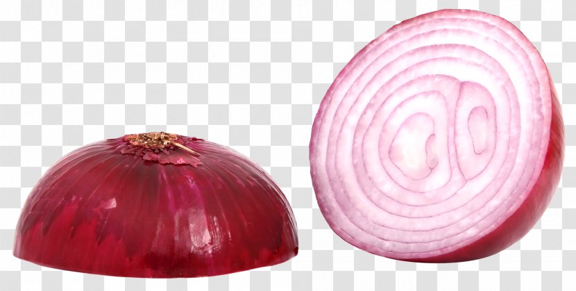 Red Onion - Food - Sliced Transparent PNG