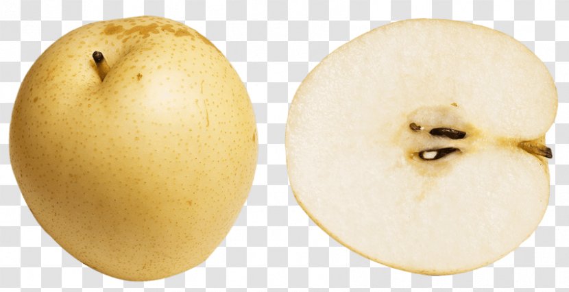 Vector Graphics Asian Pear Psd - Fruit - Prickly Illustration Transparent PNG