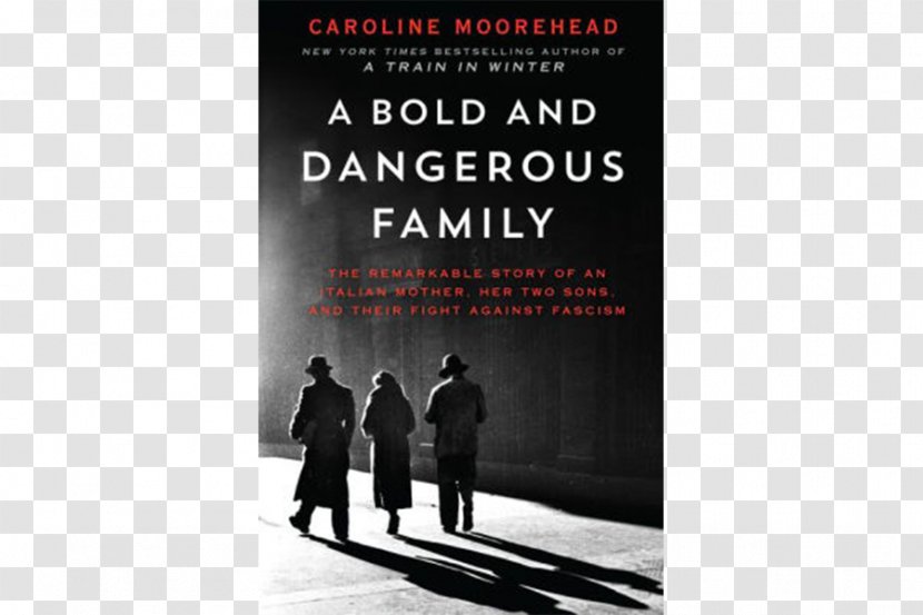 A Bold And Dangerous Family: The Remarkable Story Of An Italian Mother, Her Two Sons, Their Fight Against Fascism Train In Winter: Resistance, Friendship Survival Village Secrets E-book - Book Cover Transparent PNG
