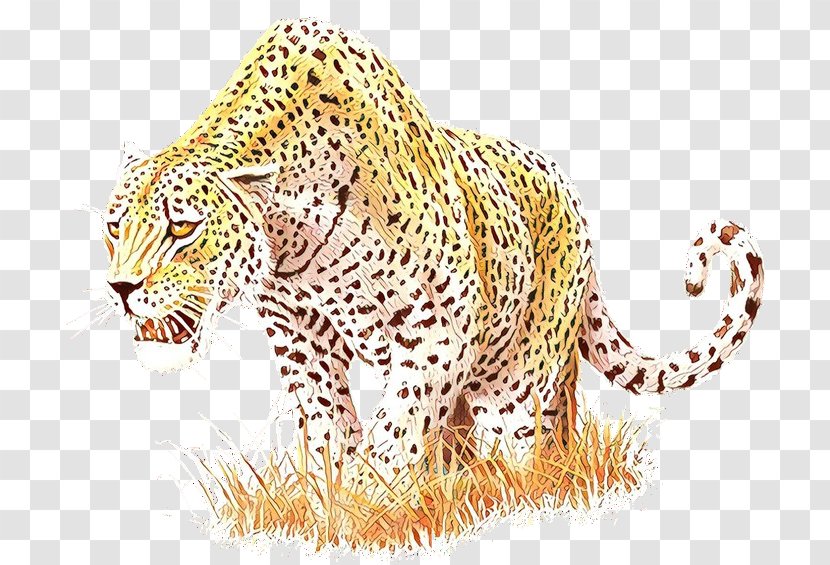 Snow Leopard Cheetah Tiger Ocelot - African Transparent PNG