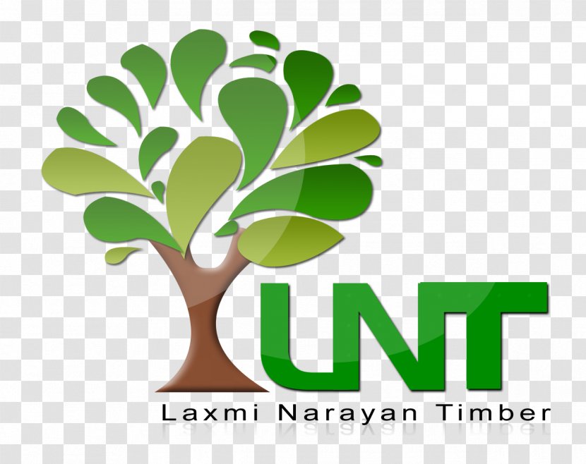 Tree Logo Leaf Plant Stem Font Transparent PNG