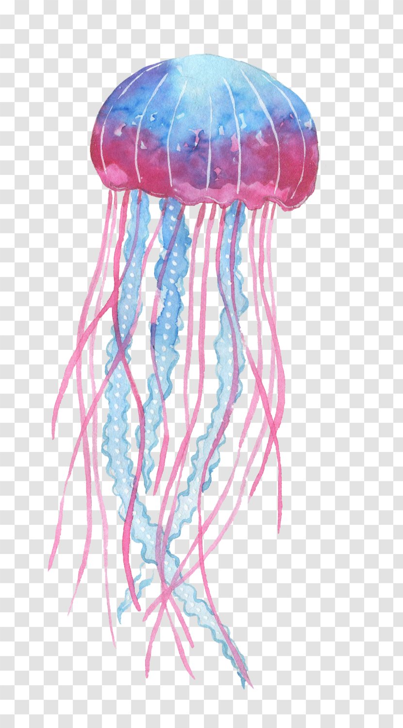 Box Jellyfish Invertebrate Deep Sea Creature - Pink Cartoon Transparent PNG