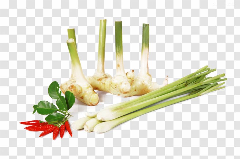 Lemon Grass Free Download - Cymbopogon Citratus - Recipe Transparent PNG