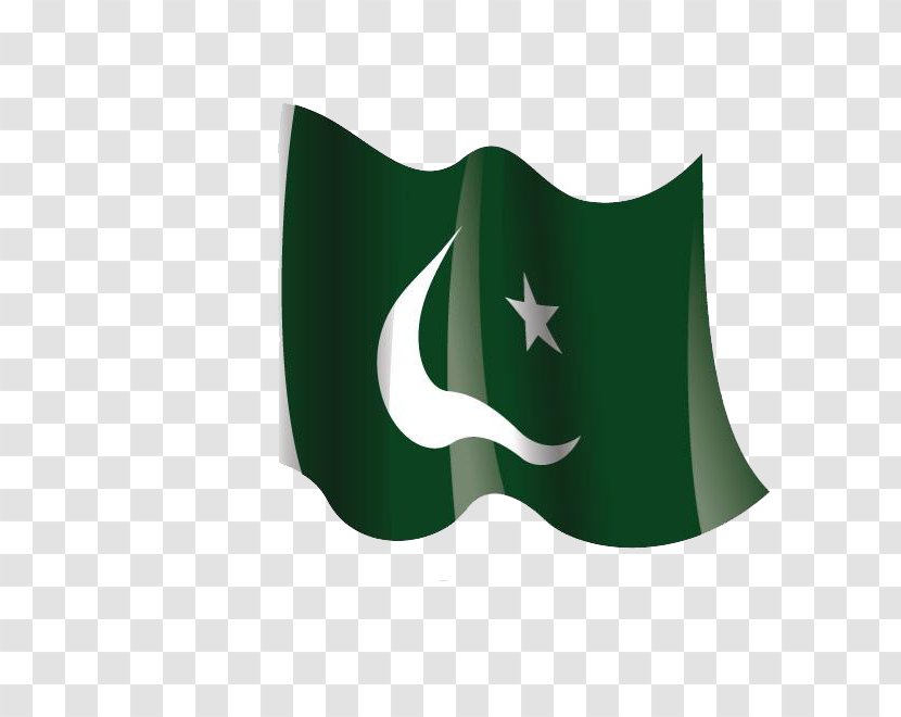 Flag Of Pakistan Image Vector Graphics Transparent PNG