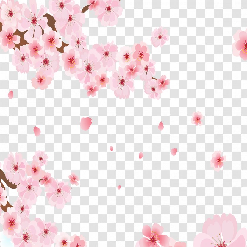 National Cherry Blossom Festival Cerasus - Pink Hand-painted Tree Transparent PNG