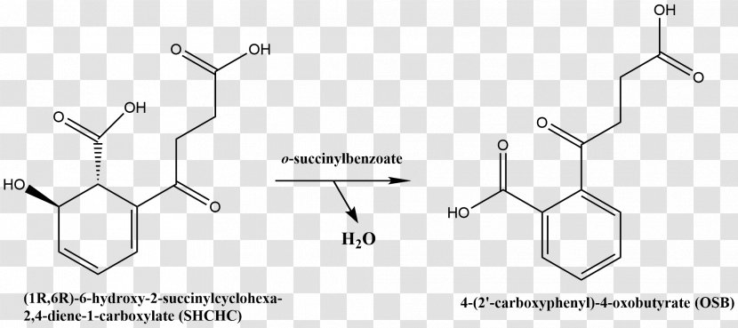 Chemical Reaction Catalysis Enolase Dehydration Compound - Heart Transparent PNG