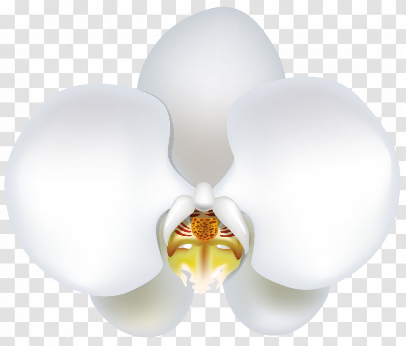 Lighting Flower - Pure As Snow Butterfly Transparent PNG