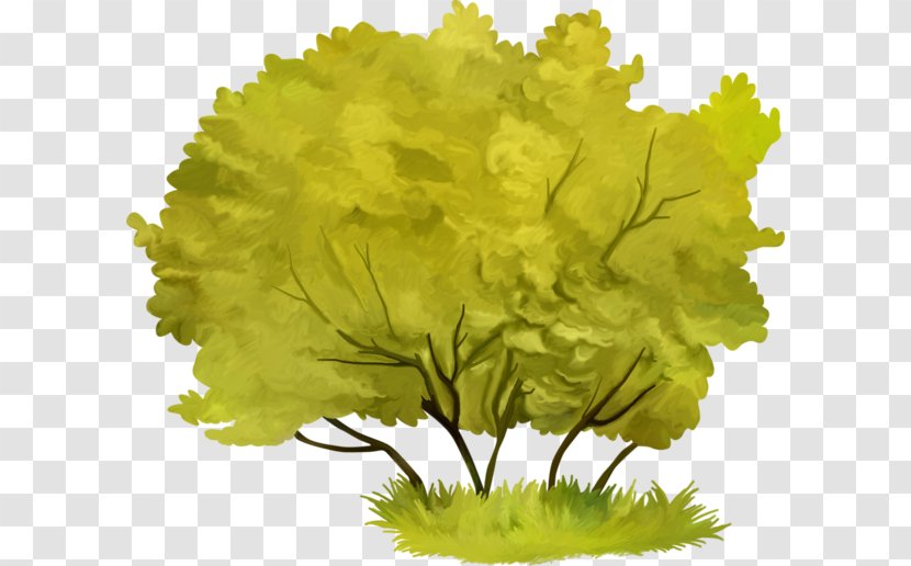 Branch Tree - Yellow Transparent PNG