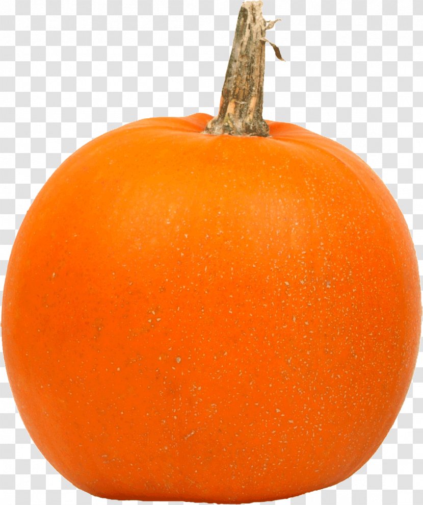 Calabaza Big Pumpkin Red Kuri Squash Jack-o'-lantern - Diospyros Transparent PNG