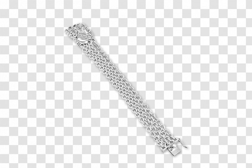 Silver Body Jewellery Chain - Carnival Continued Again Transparent PNG