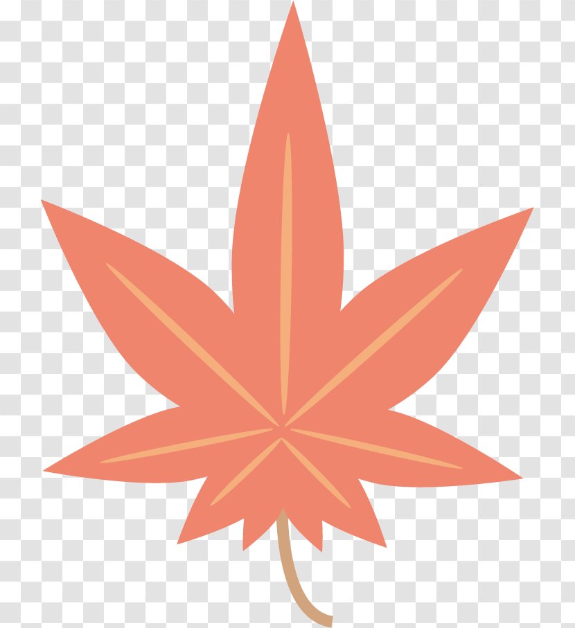 Maple Leaf Autumn Color Transparent PNG