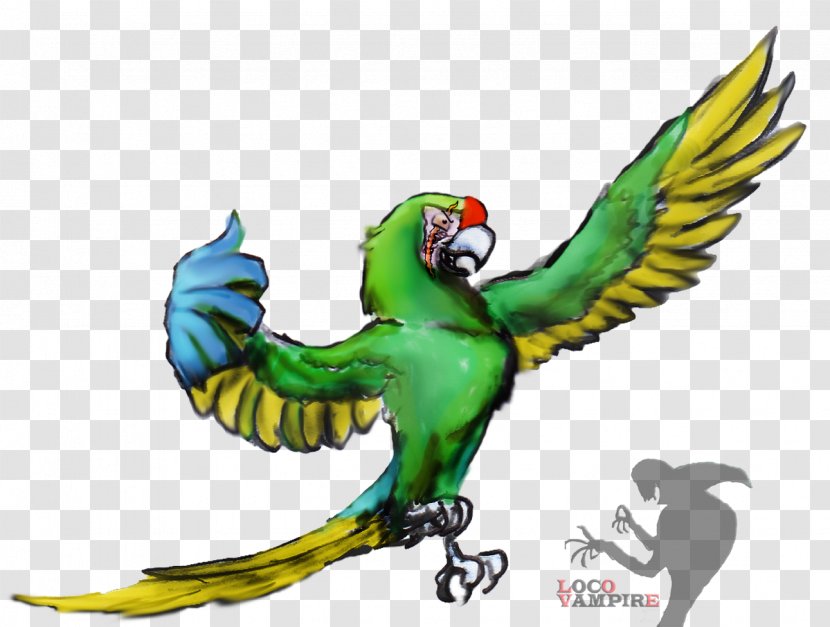 Parrot Military Macaw Bird Parakeet Transparent PNG