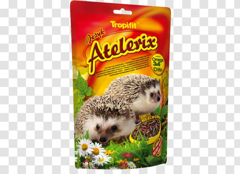 Four-toed Hedgehog Food Pet Shop Hamster - Mealworm Beetles - Erizo Transparent PNG