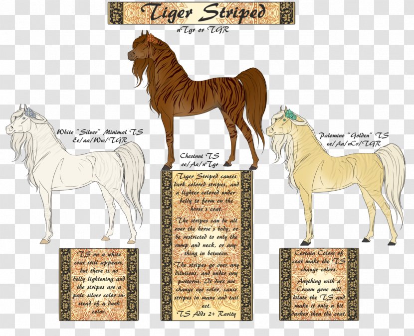 Mane Mustang American Quarter Horse Stallion Pony - Mammal Transparent PNG