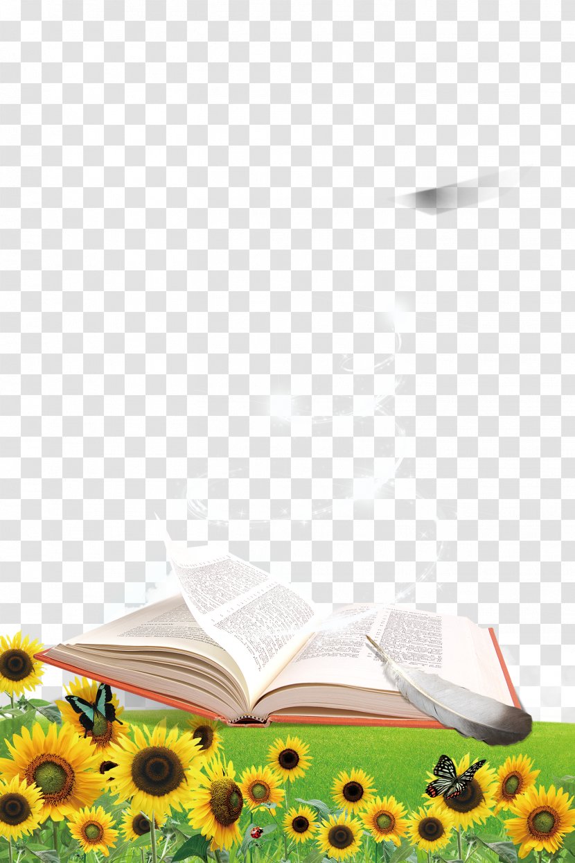 Poster Banner Wallpaper - Petal - Open Book On Grass Transparent PNG