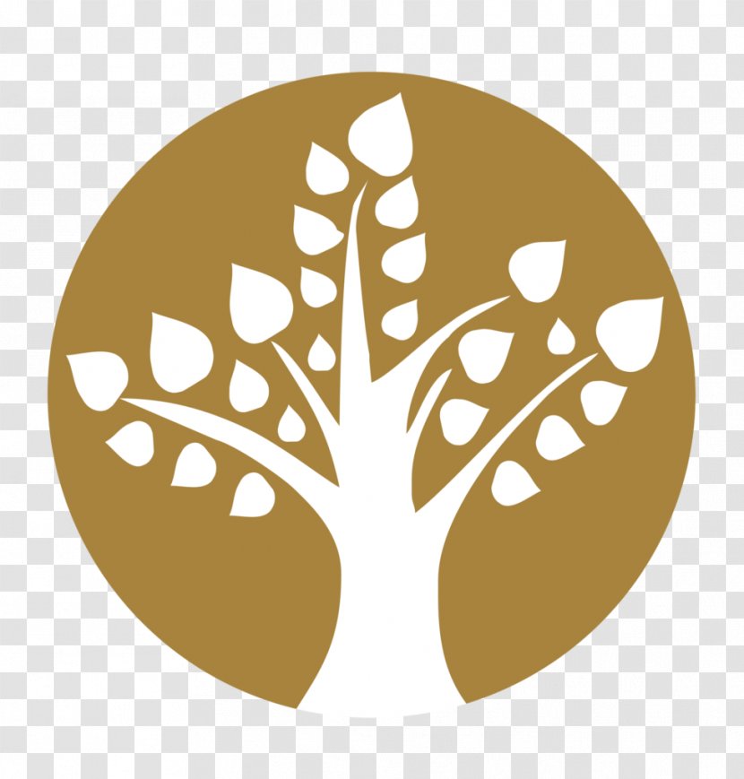 Peepal Tree Early Childhood Education Ficus Religiosa Buderim - Wood Production - Or Transparent PNG
