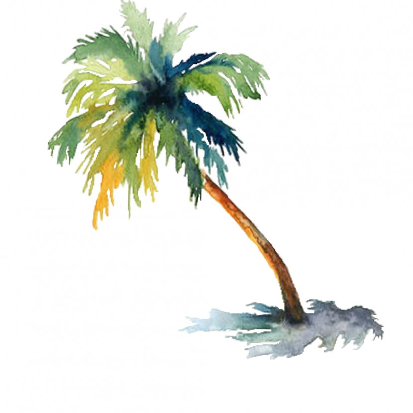 Watercolor Painting Arecaceae Drawing Tree - Art Transparent PNG