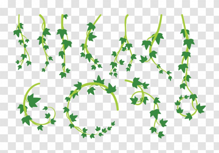 Leaf Liana Vine - Grass - Pot Transparent PNG