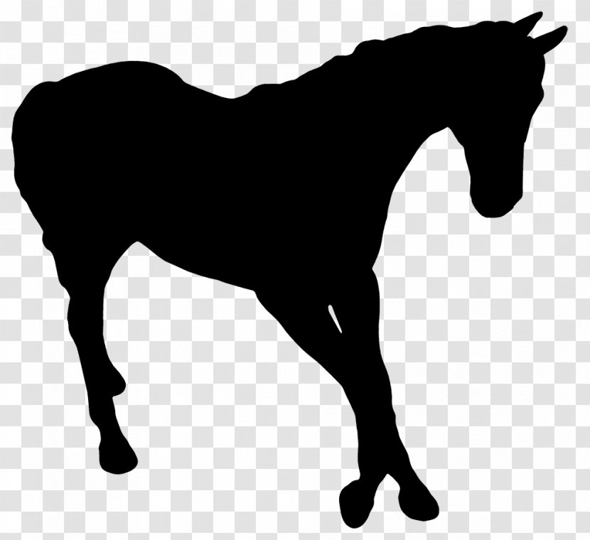Horse Silhouette Photography - Animation Transparent PNG