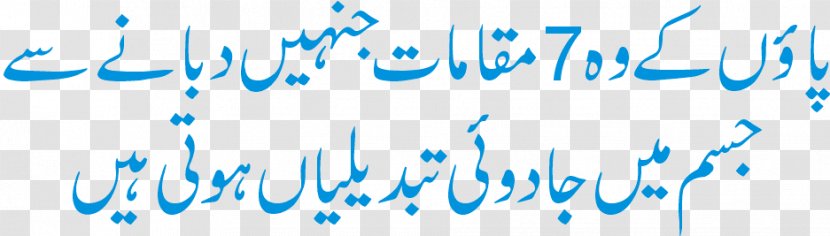 Urdu Poetry Image Hindi - Acupuncture Points Chart Transparent PNG
