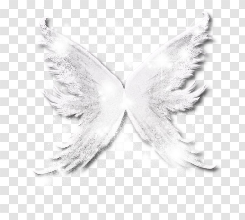 White Pollinator Fairy Wings Transparent Png