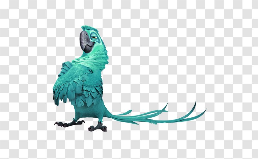 Blu Rio Wikia Icon - Wiki - Green Family Parrot Decorative Motifs Transparent PNG