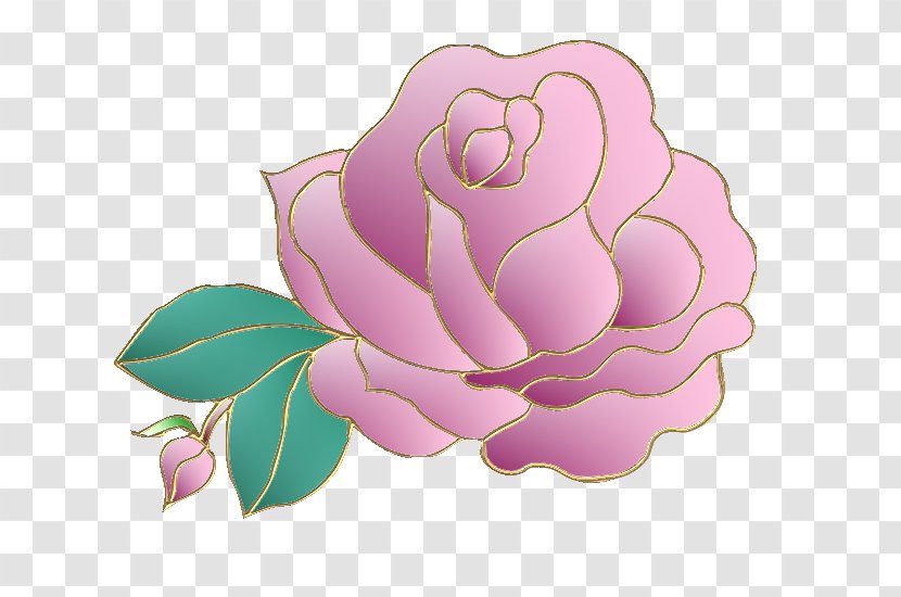 Garden Roses Cabbage Rose Petal Floral Design Transparent PNG
