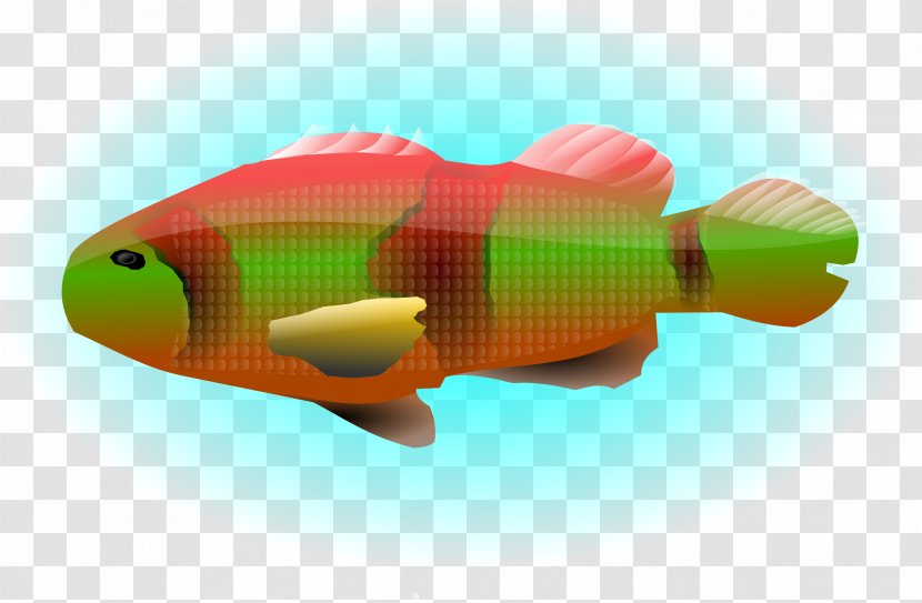 Goldfish Koi Clip Art - Fish - Ocean Transparent PNG