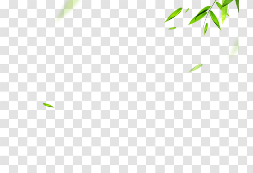 Download Icon - Green - Bamboo Transparent PNG