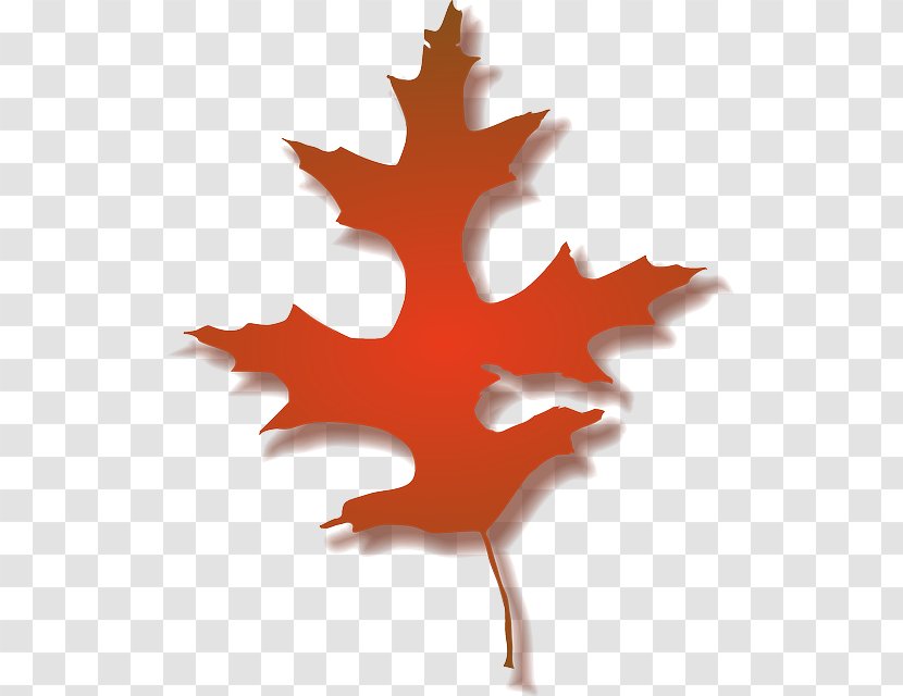 Autumn Leaf Clip Art - Multicolored Maple Transparent PNG