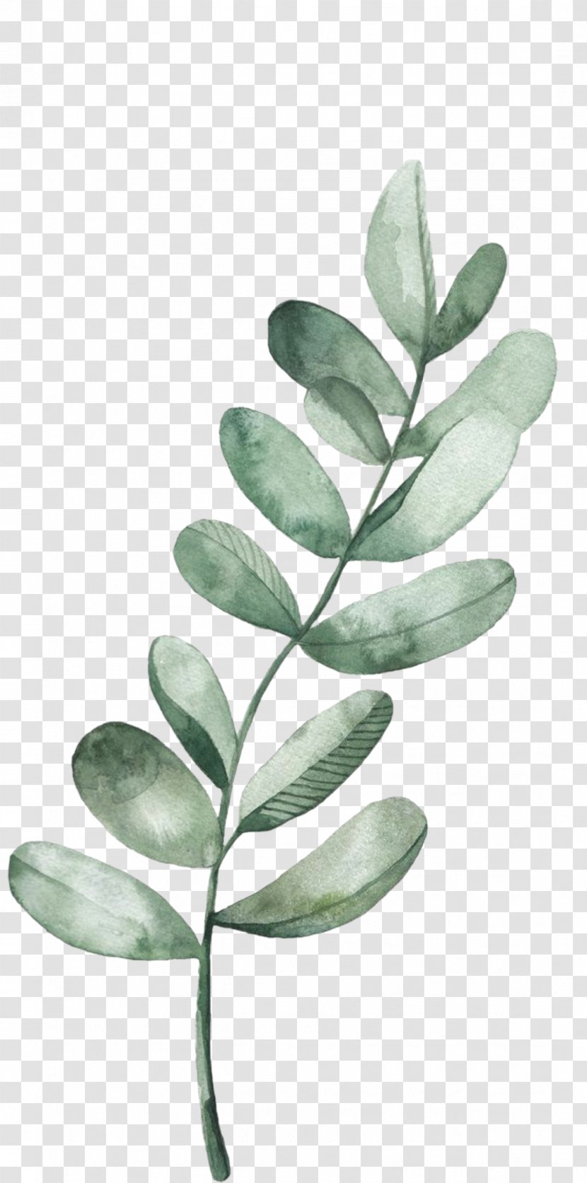Leaf Plant Flower Tree Branch - Blackandwhite Stem Transparent PNG