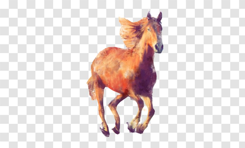 Visual Arts Amy Hamilton Design + Illustration Illustrator Artist - Horse Running Material Picture Transparent PNG