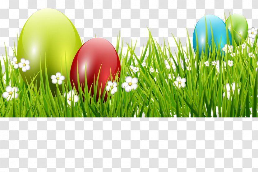 Easter Egg Holiday Greeting & Note Cards Ansichtkaart - Grass Transparent PNG