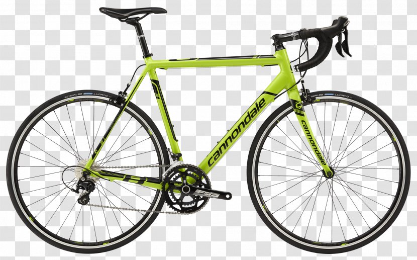 Racing Bicycle Cannondale Corporation Road Mountain Bike Transparent PNG