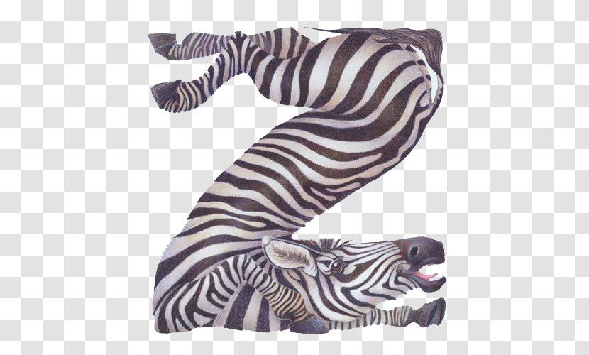 Dog Animal Z Letter Alphabet - Simple Zebra Transparent PNG