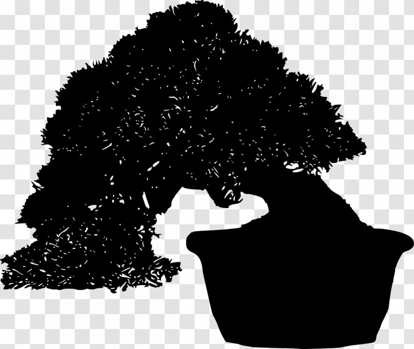 Tree Silhouette Bonsai - Plant Transparent PNG