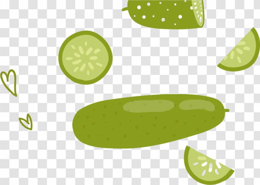 Computer Graphics - Shading - Cucumber Vector Material Transparent PNG