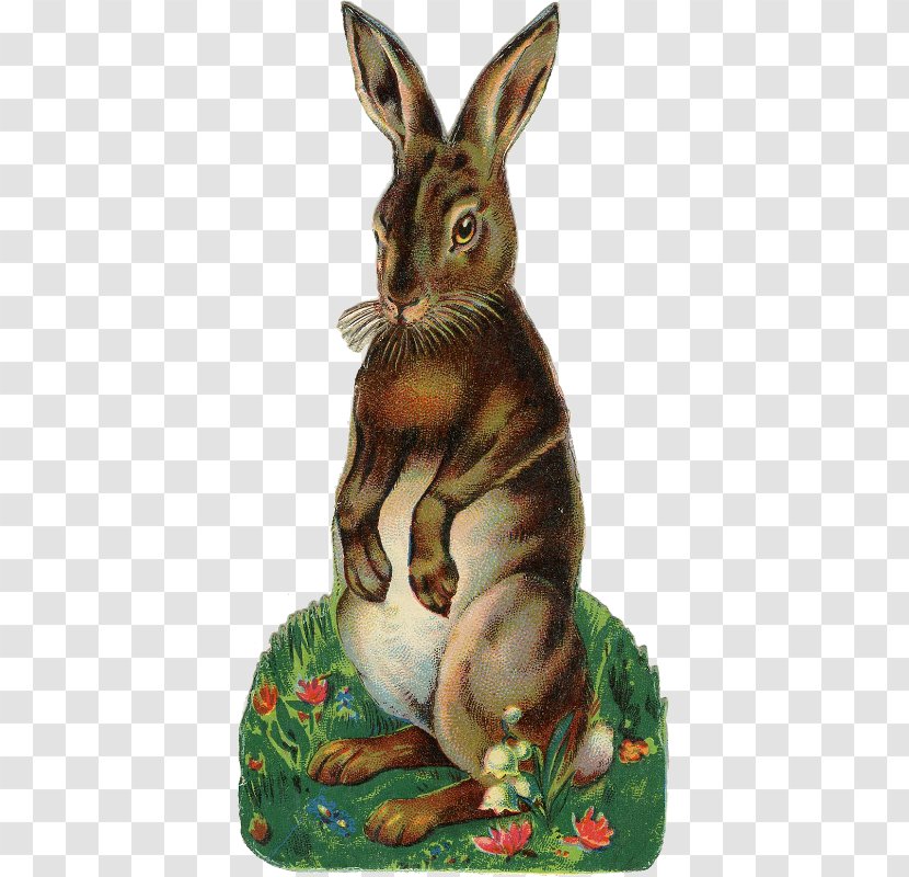 Easter Bunny Hare Rabbit Illustration - Postcard - Antique Transparent PNG