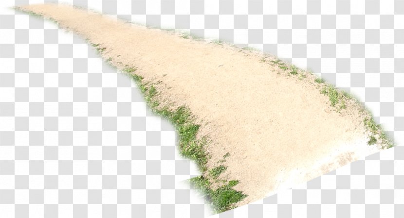Sand Download - Beach - Field Path Transparent PNG