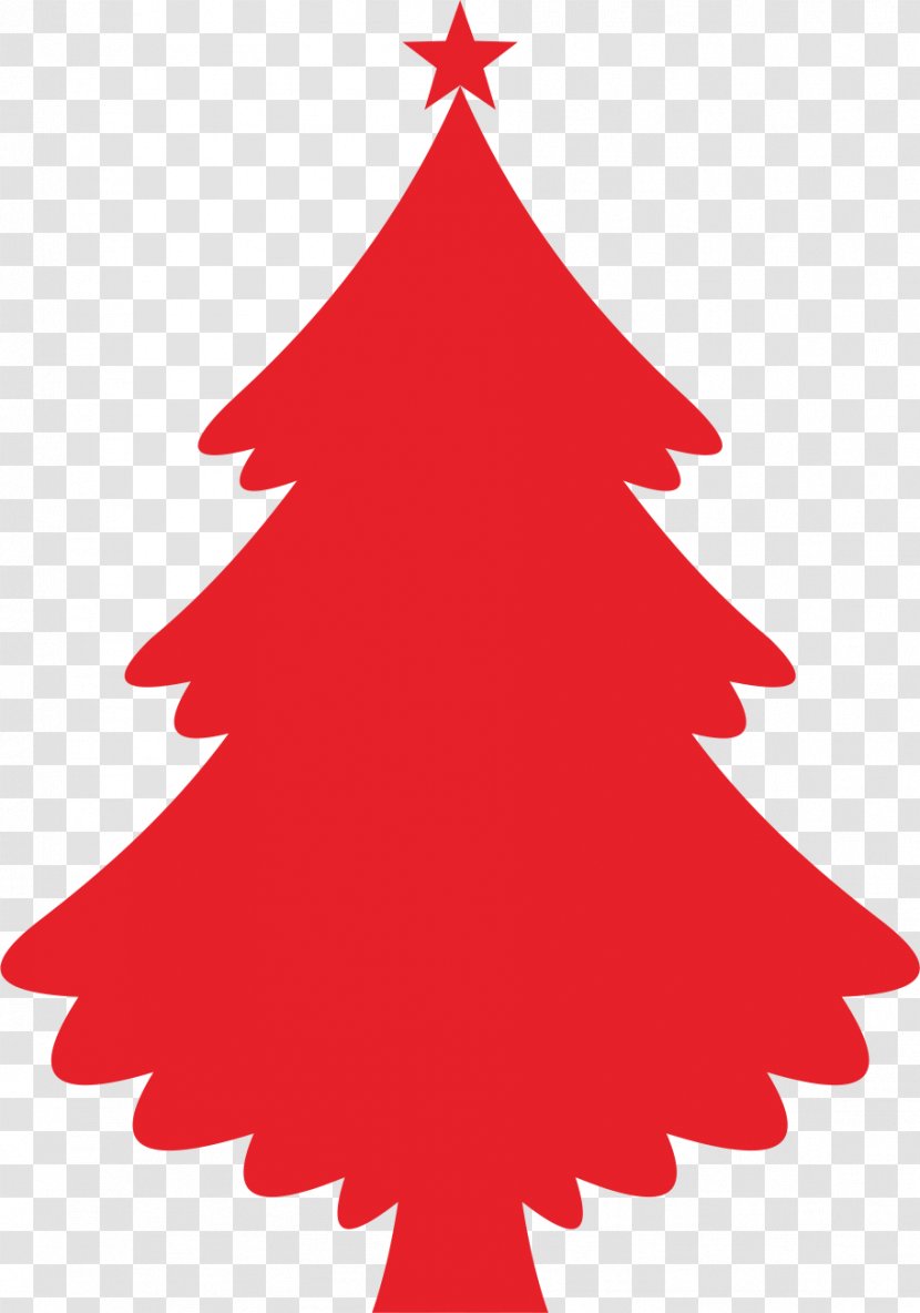 Christmas Tree - Conifer - Fir Transparent PNG